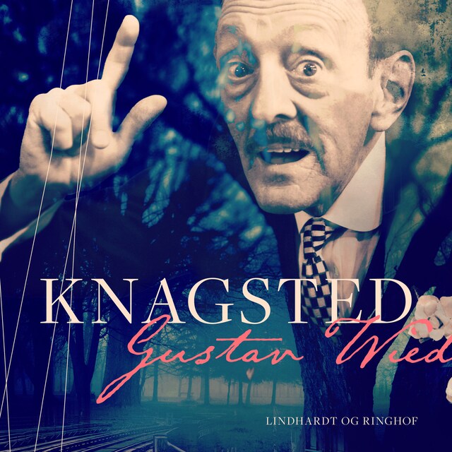 Couverture de livre pour Knagsted