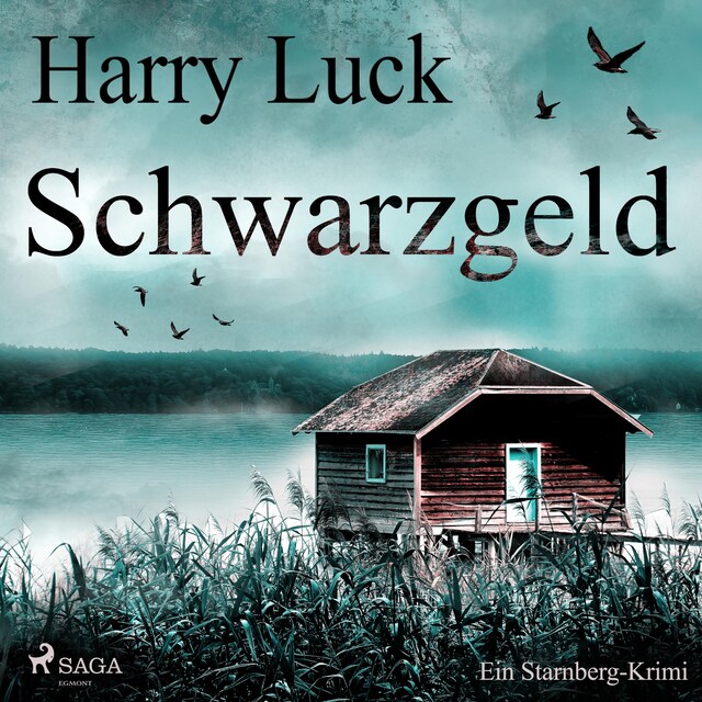 Book cover for Schwarzgeld - Ein Starnberg-Krimi (Ungekürzt)