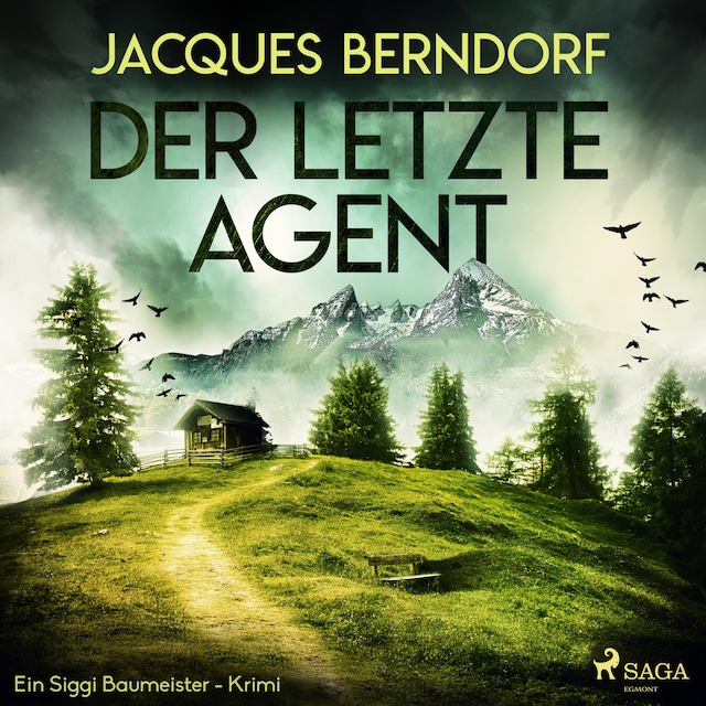Book cover for Der letzte Agent - Ein Siggi-Baumeister-Krimi