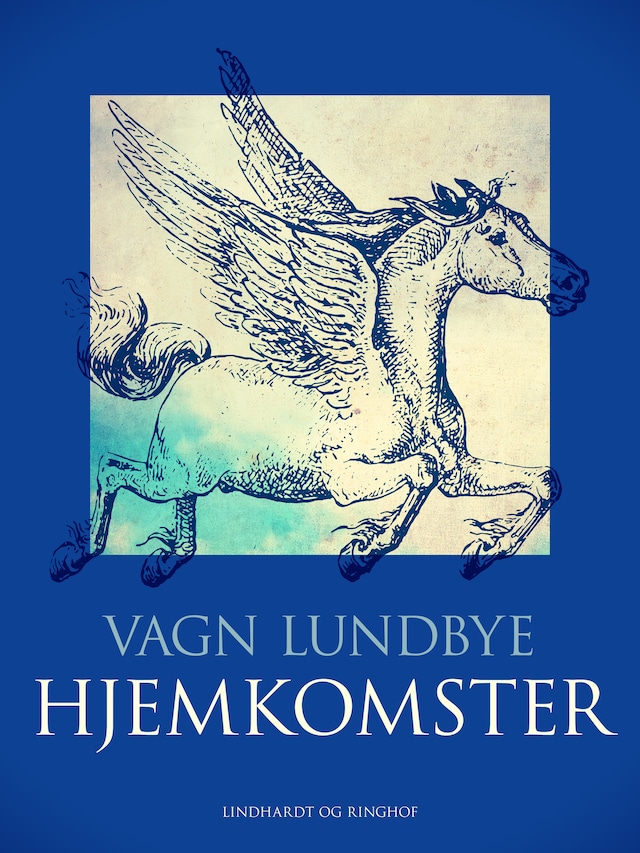 Book cover for Hjemkomster