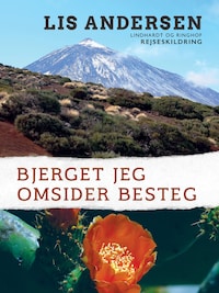 Bjerget jeg omsider besteg