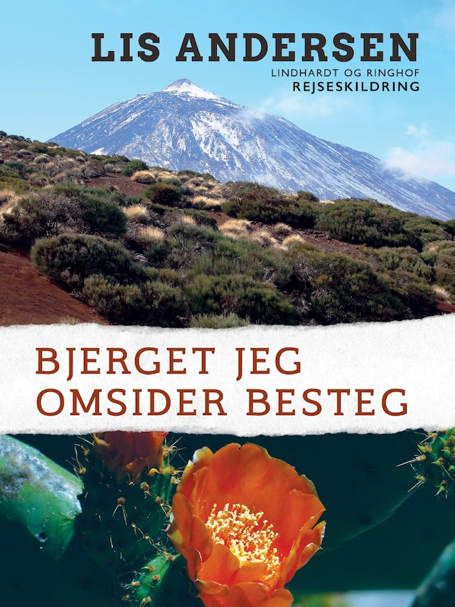 Book cover for Bjerget jeg omsider besteg