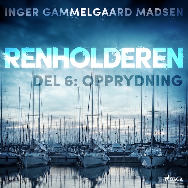 Book cover for Renholderen 6: Opprydning