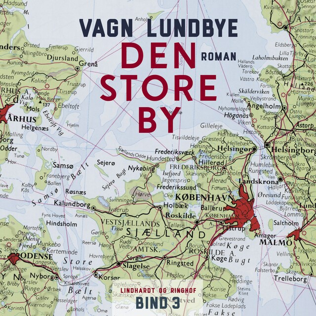 Book cover for Den store by