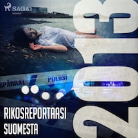 Rikosreportaasi Suomesta 2013