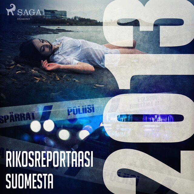 Buchcover für Rikosreportaasi Suomesta 2013
