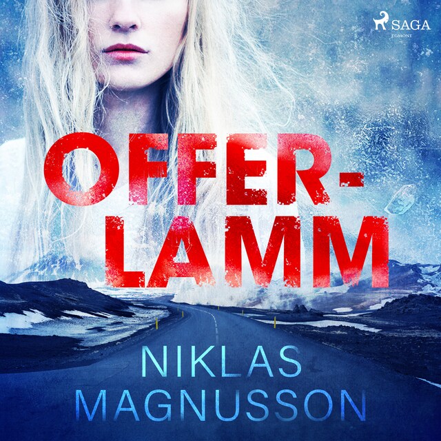 Book cover for Offerlamm