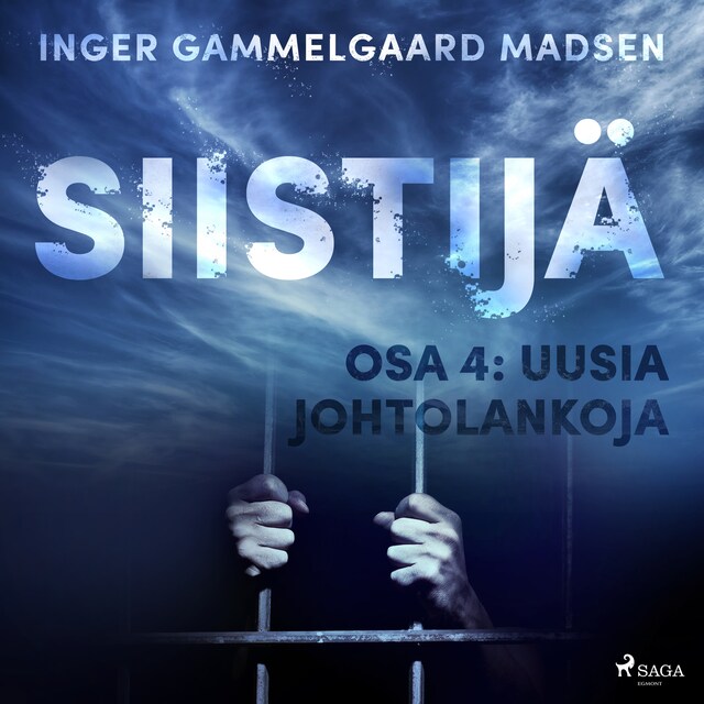 Book cover for Siistijä 4: Uusia johtolankoja