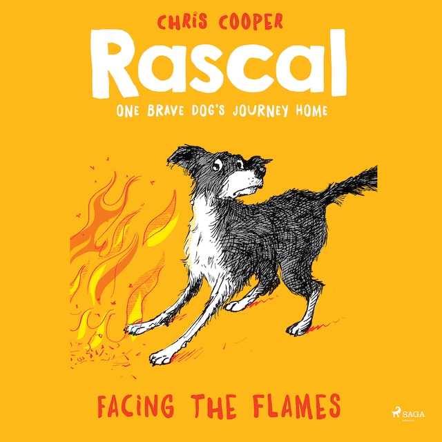 Book cover for Rascal 4 - Facing the Flames