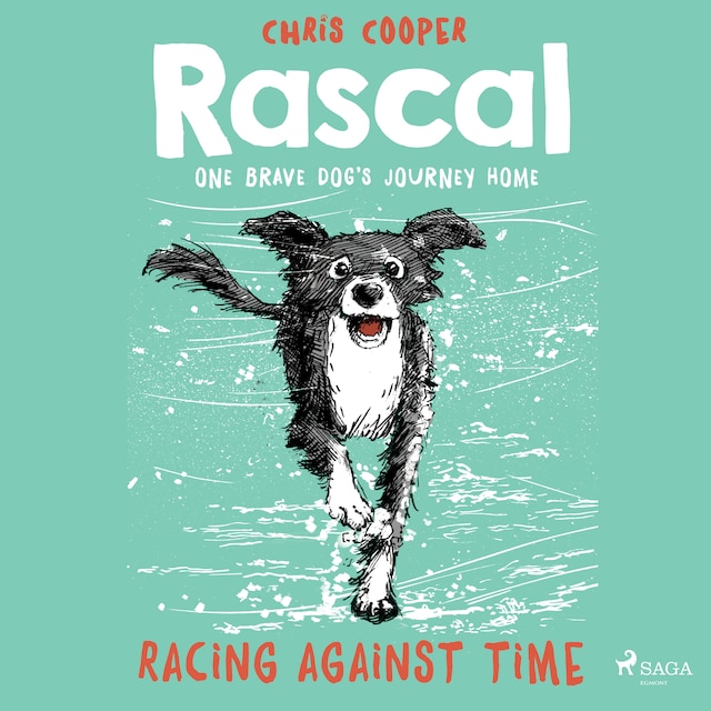 Kirjankansi teokselle Rascal 6 - Racing Against Time