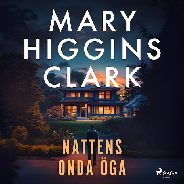 Book cover for Nattens onda öga