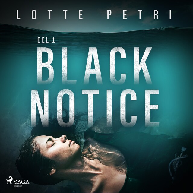 Portada de libro para Black Notice del 1