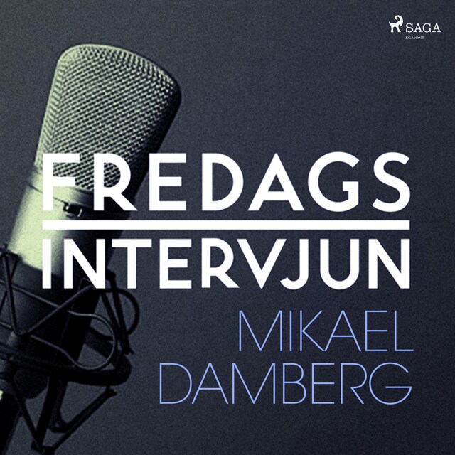 Fredagsintervjun - Mikael Damberg