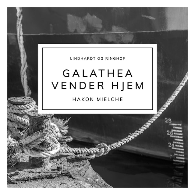 Buchcover für Galathea vender hjem