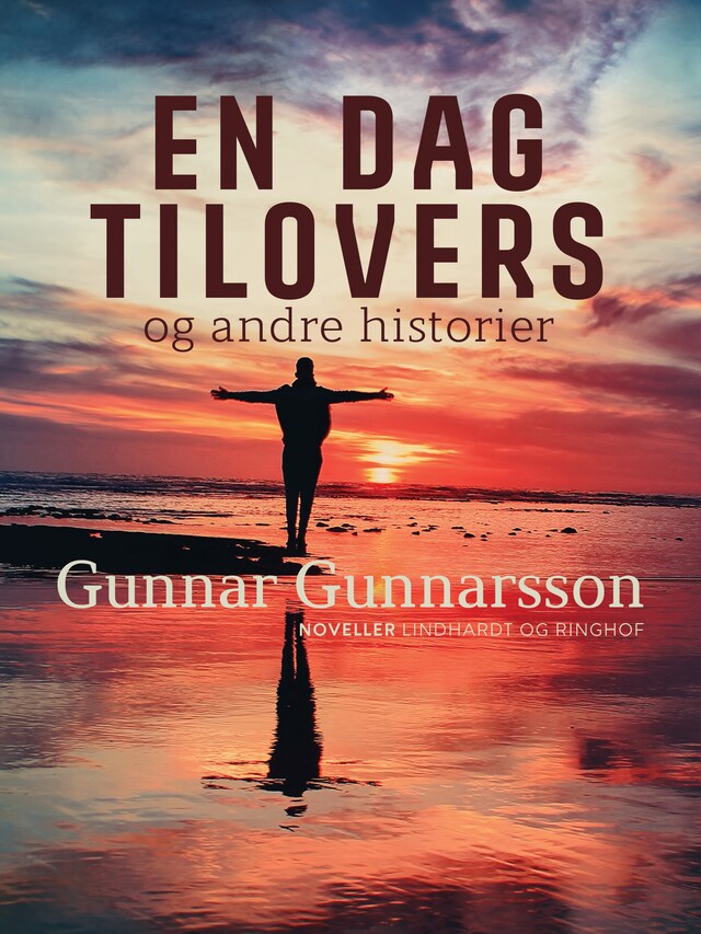 Bogomslag for En dag tilovers og andre historier