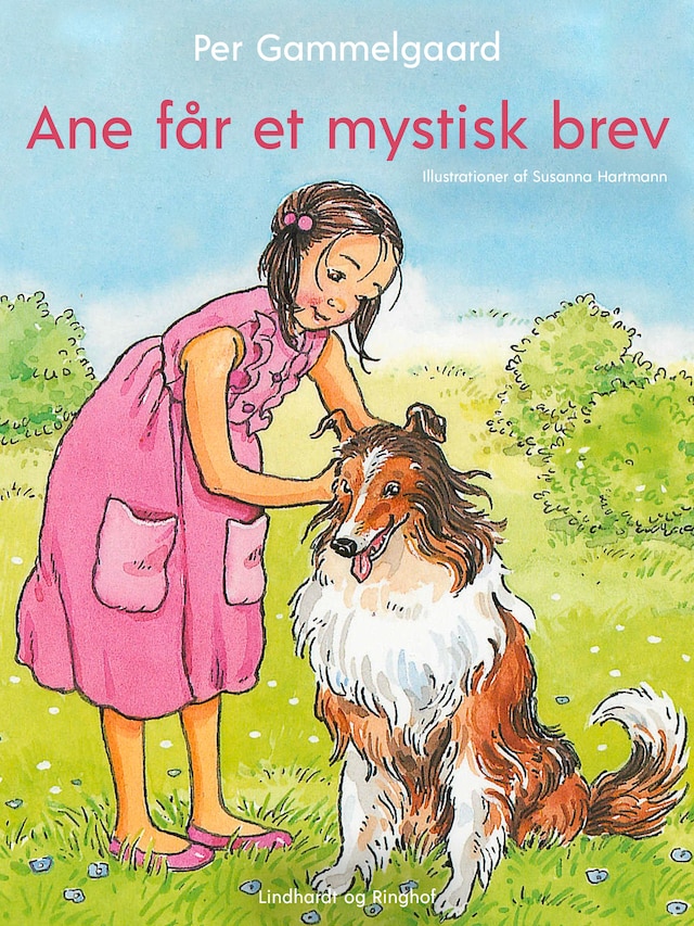 Bogomslag for Ane får et mystisk brev