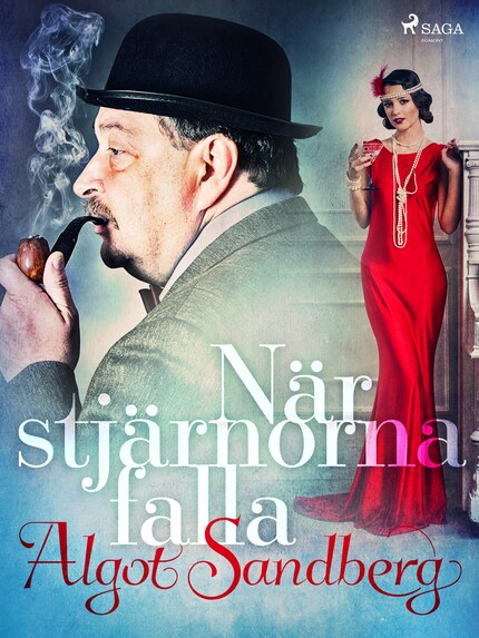 När stjärnorna falla bookCoverFor