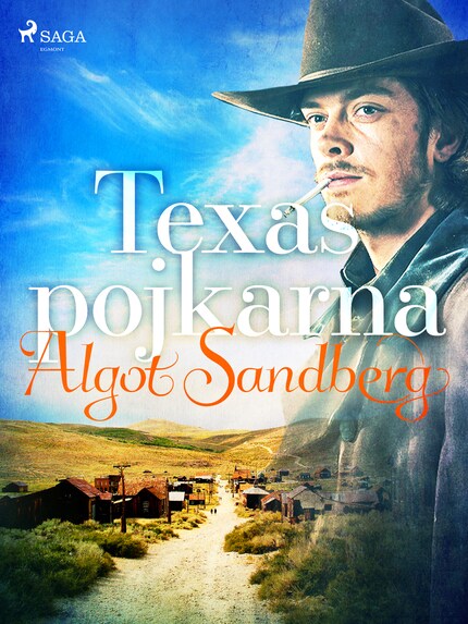 Texaspojkarna bookCoverFor
