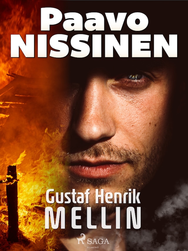 Book cover for Paavo Nissinen
