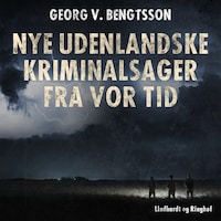 Nye udenlandske kriminalsager fra vor tid