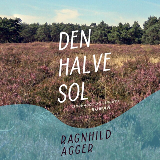 Book cover for Den halve sol