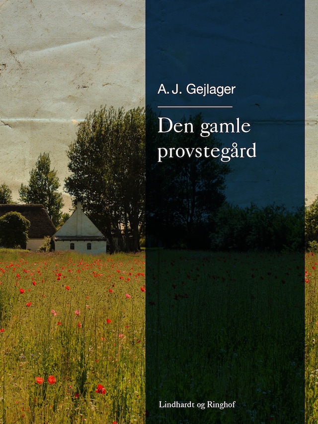 Buchcover für Den gamle provstegård