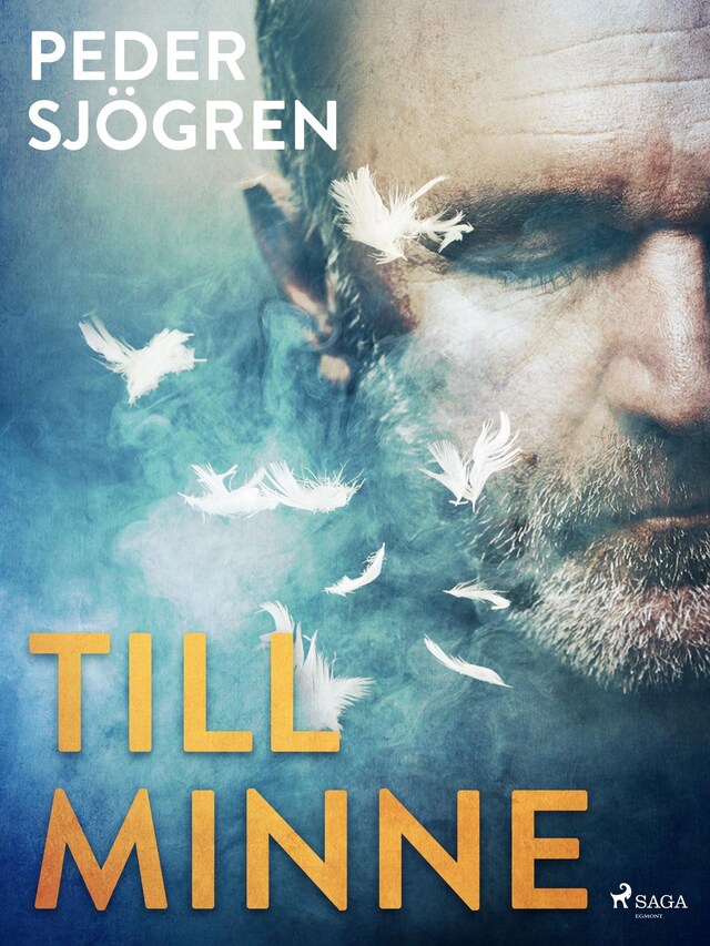 Portada de libro para Till minne