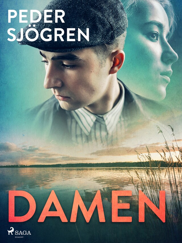 Copertina del libro per Damen