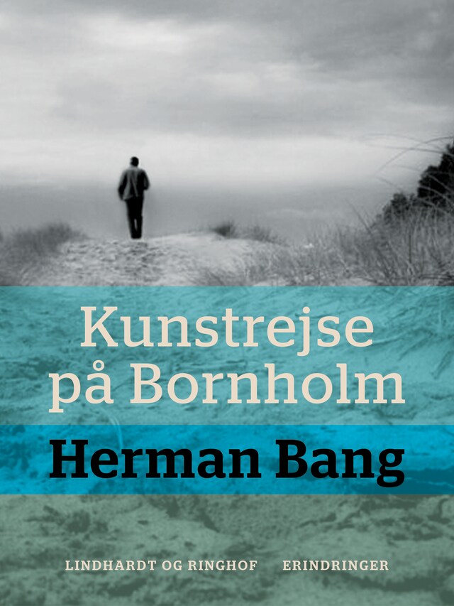 Bogomslag for Kunstrejse på Bornholm