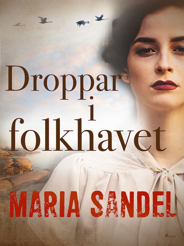 Book cover for Droppar i folkhavet