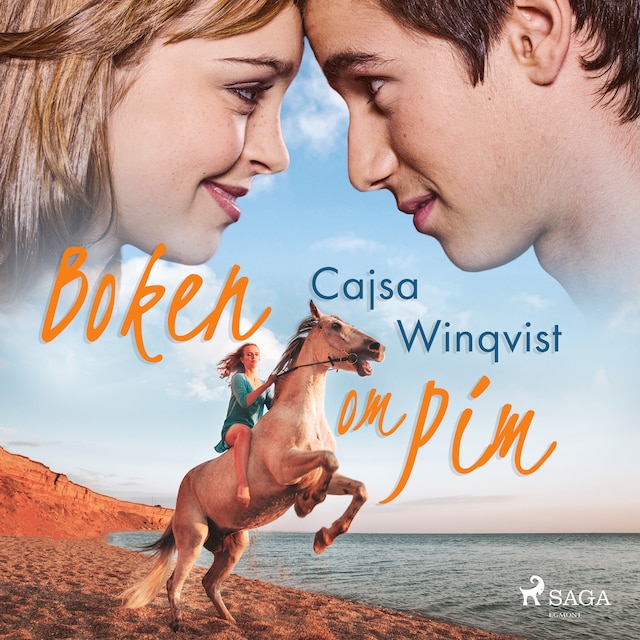 Book cover for Boken om Pim