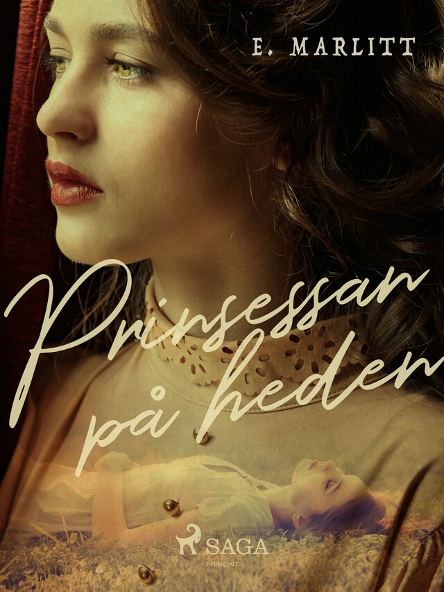 Book cover for Prinsessan på heden
