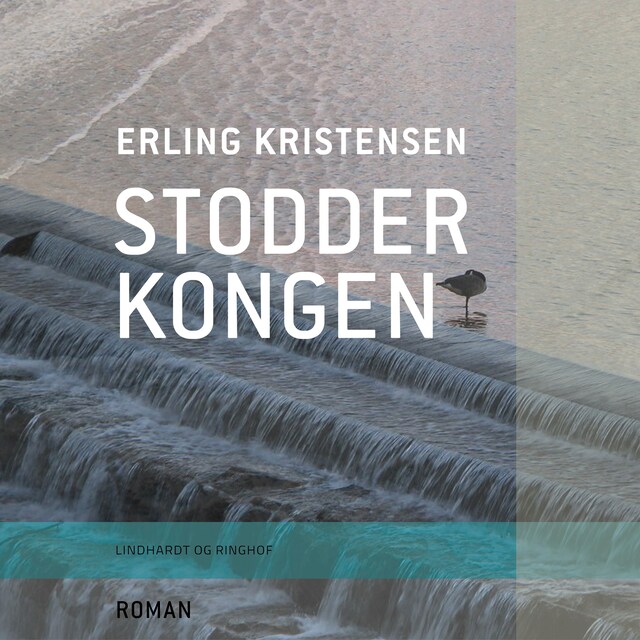 Couverture de livre pour Stodderkongen
