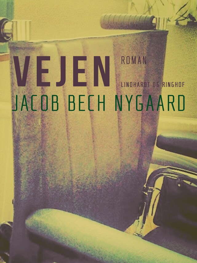 Book cover for Vejen