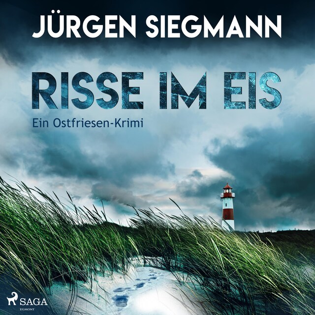 Copertina del libro per Risse im Eis - Ein Ostfriesen-Krimi (Ungekürzt)