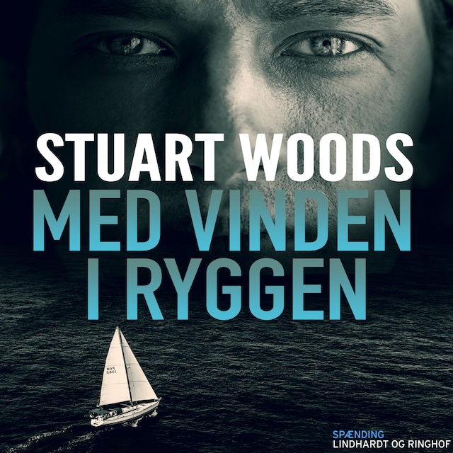 Book cover for Med vinden i ryggen