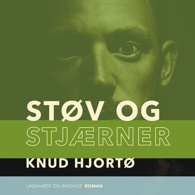 Book cover for Støv og stjærner