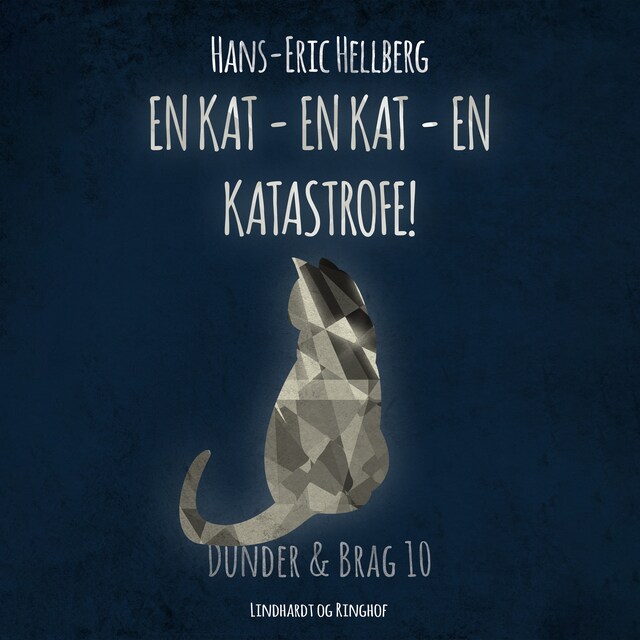 Bogomslag for En kat - en kat - en katastrofe!