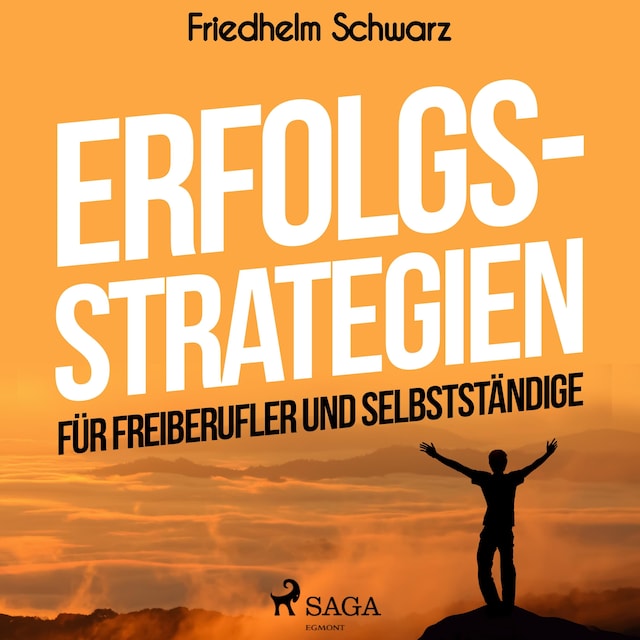 Book cover for Erfolgsstrategien für Freiberufler und Selbstständige (Ungekürzt)
