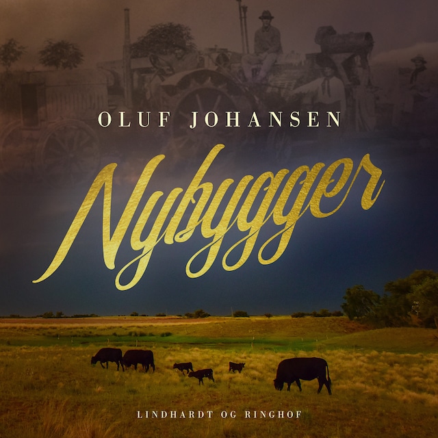 Book cover for Nybygger