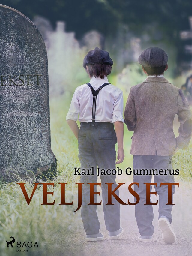 Book cover for Veljekset