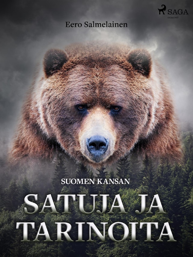 Portada de libro para Suomen kansan satuja ja tarinoita