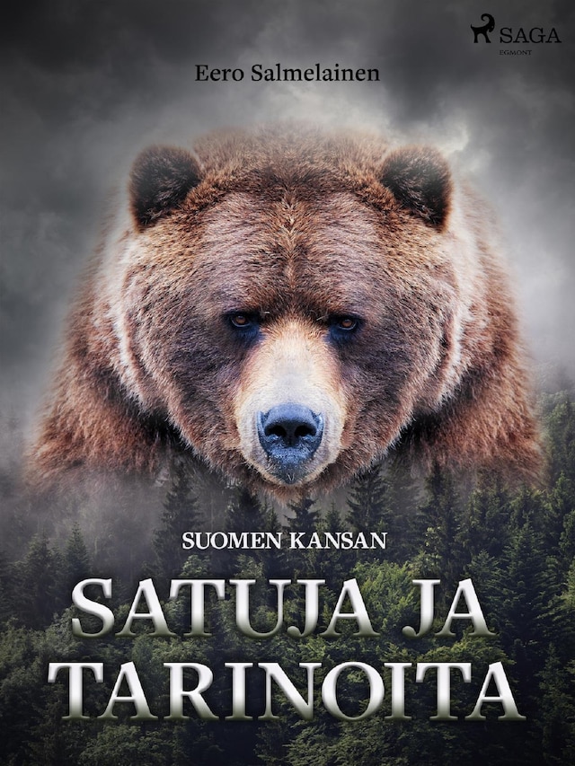 Book cover for Suomen kansan satuja ja tarinoita