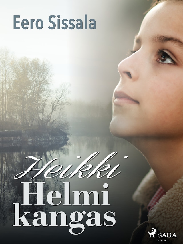 Book cover for Heikki Helmikangas