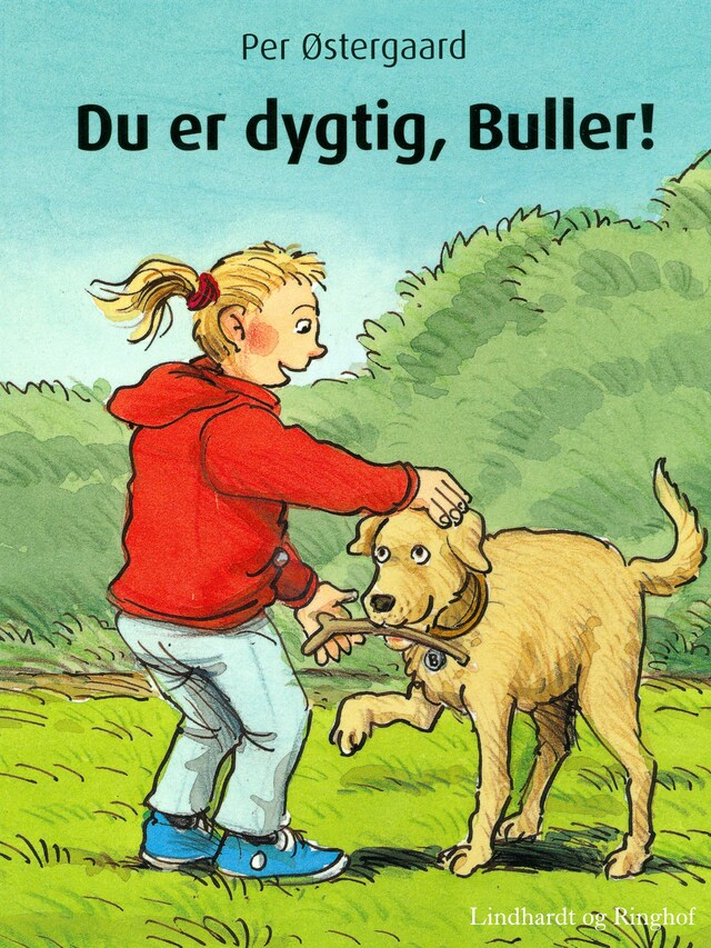 Bogomslag for Du er dygtig, Buller!