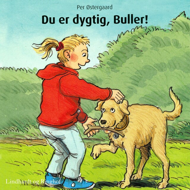 Bogomslag for Du er dygtig, Buller!