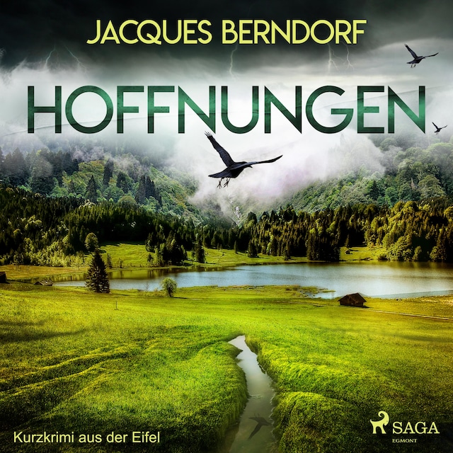 Book cover for Hoffnungen - Kurzkrimi aus der Eifel (Ungekürzt)