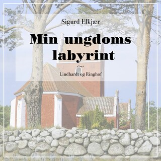 Min ungdoms labyrint lydbog