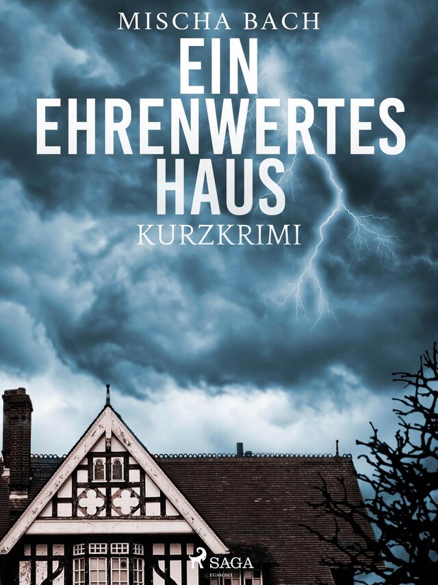 Kirjankansi teokselle Ein ehrenwertes Haus - Kurzkrimi