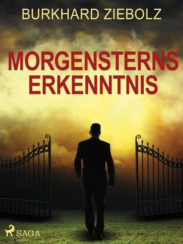 Okładka książki dla Morgensterns Erkenntnis - Kriminalroman aus Niedersachsen